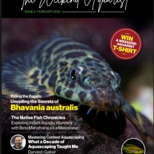 the weekend aquarist february edition