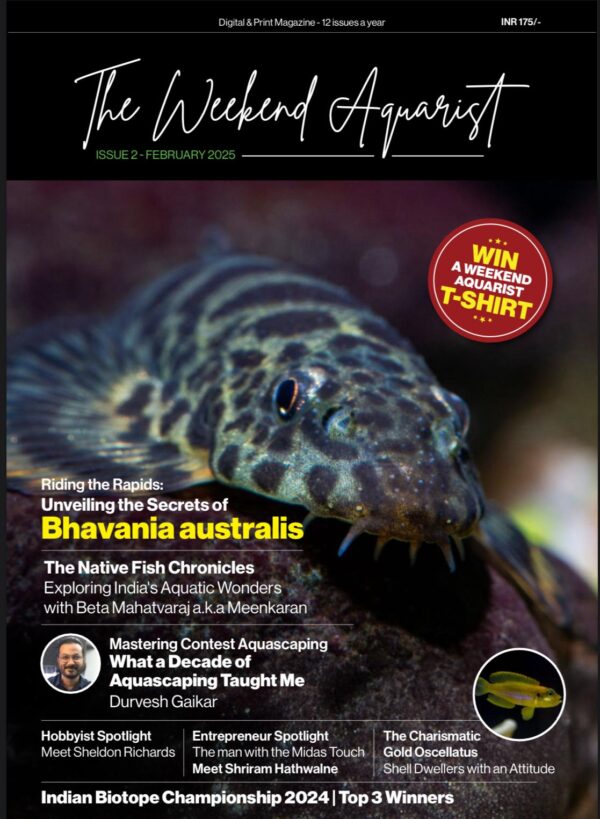 the weekend aquarist february edition